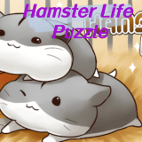 Hamster Yaşam Yapboz Oyunu