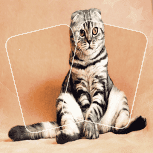 Kedi Yapboz Hafıza Eşleştirme Oyunu
