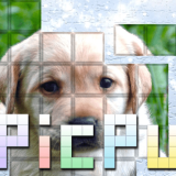 PicPu-Köpek Oyunu