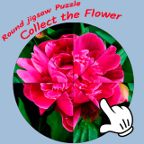 Yuvarlak Yapboz - Çiçeği Topla Oyunu